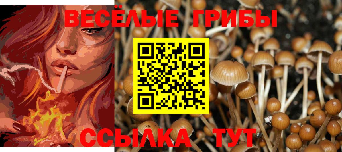 Тамбов  Галлюциногенные грибы прущие грибы  Вход с VPN  Псилоцибиновые грибы MAGIC MUSHROOMS 